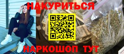 индика Будённовск