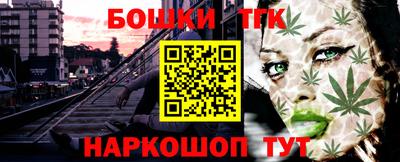 индика Будённовск