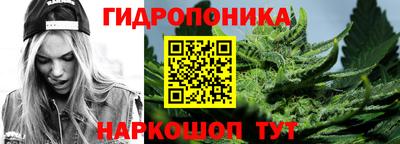 индика Будённовск