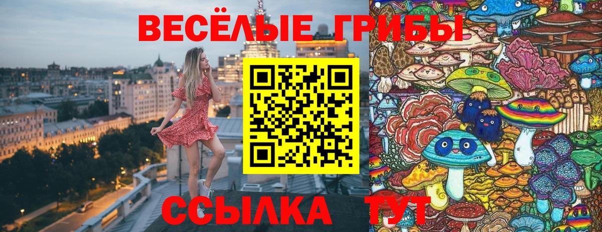 Псилоцибиновые грибы мухоморы  Вход с VPN  Щёкино 
